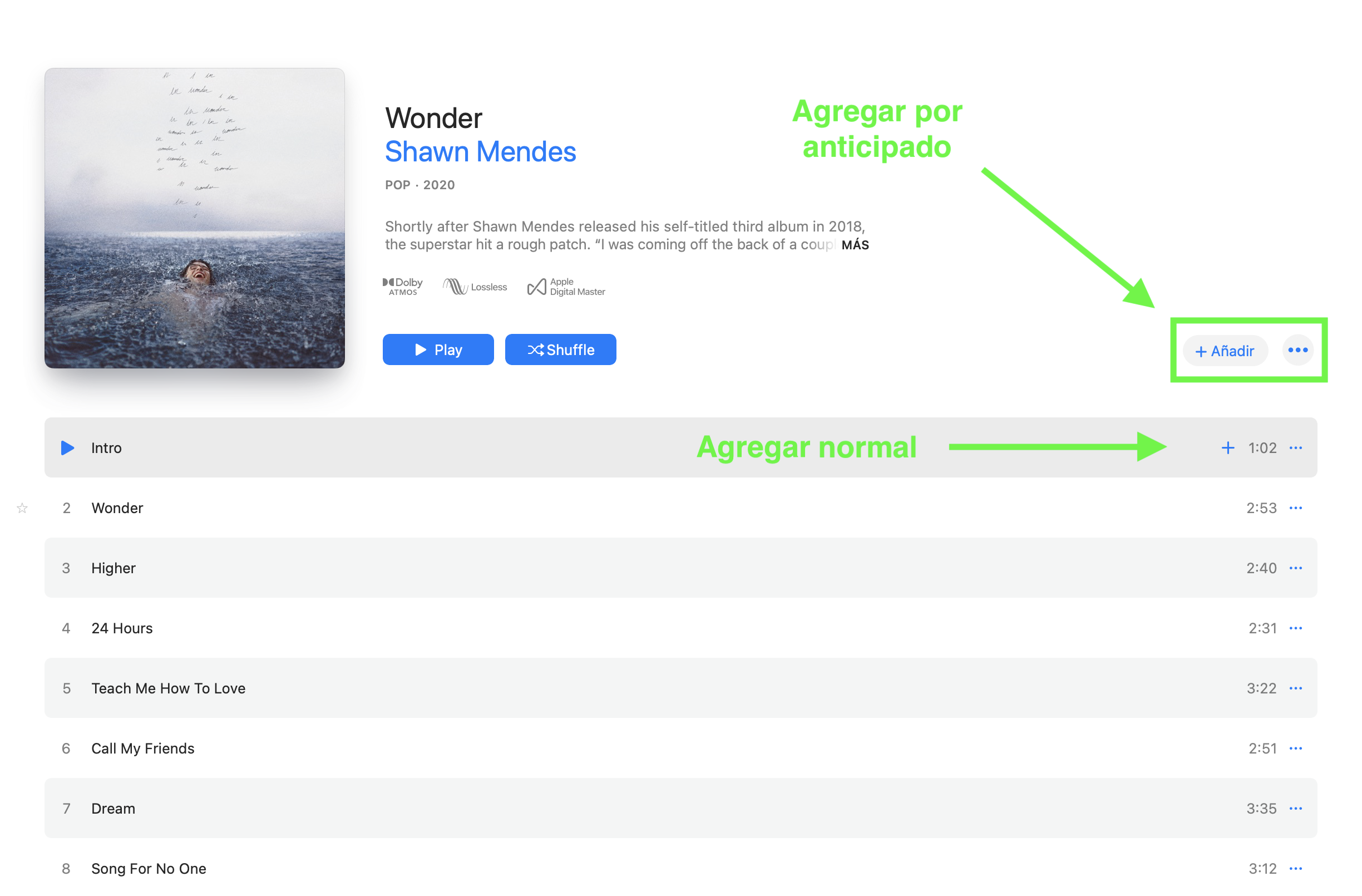 shawn_mendes.png