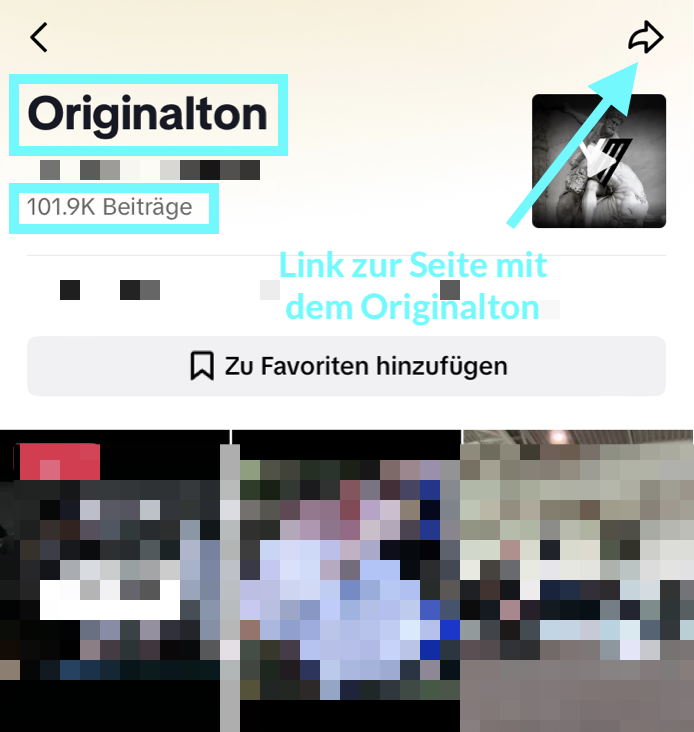 link_original_sound.png