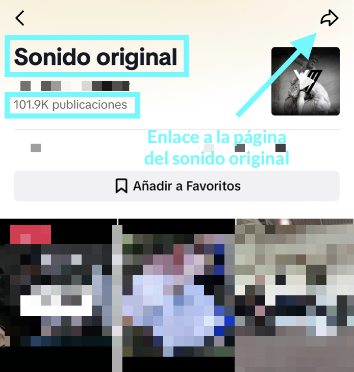 link_original_sound.png