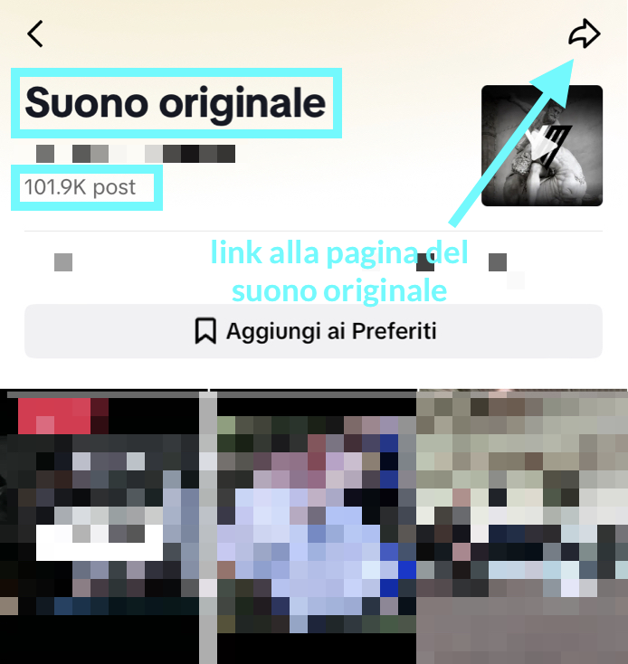 link_original_sound.png