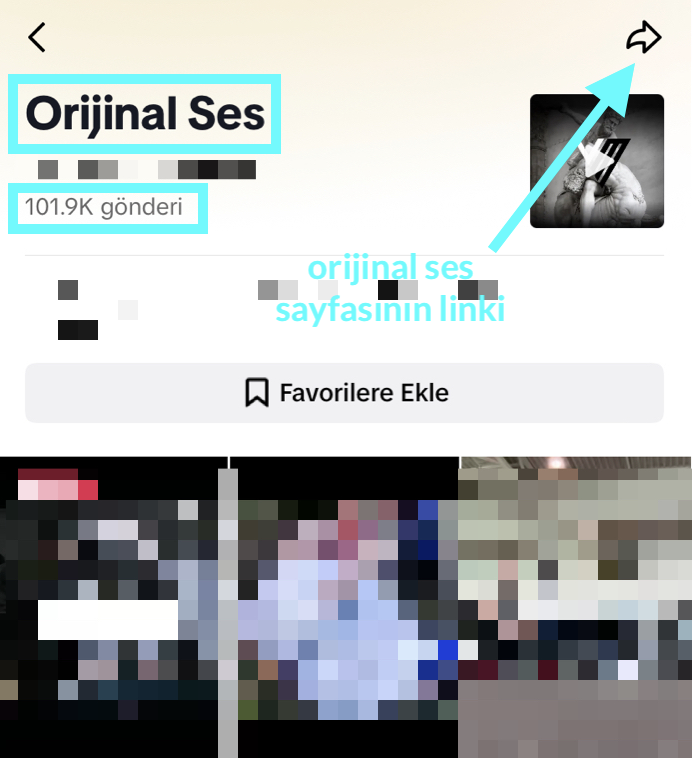 link_original_sound.png