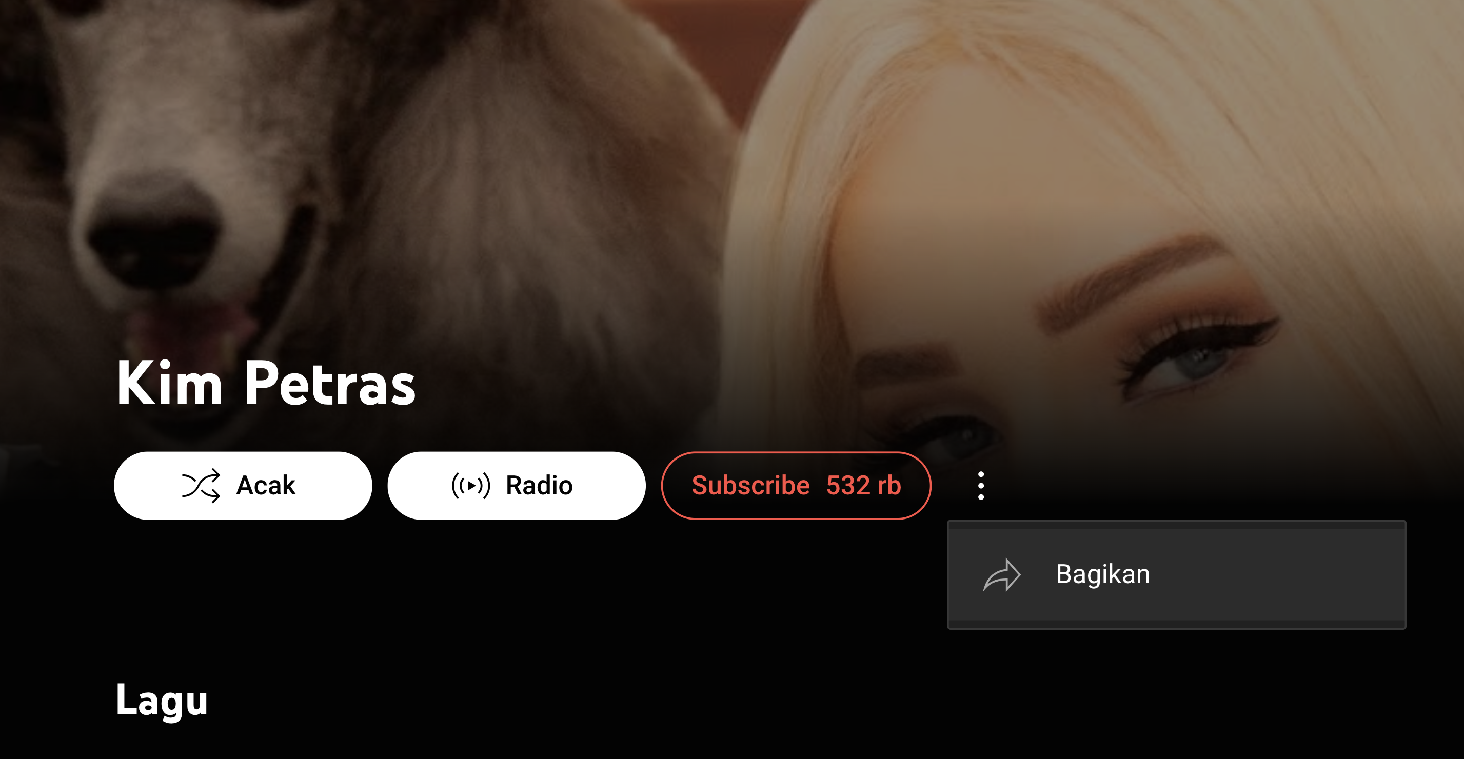 id_kim_petras.png