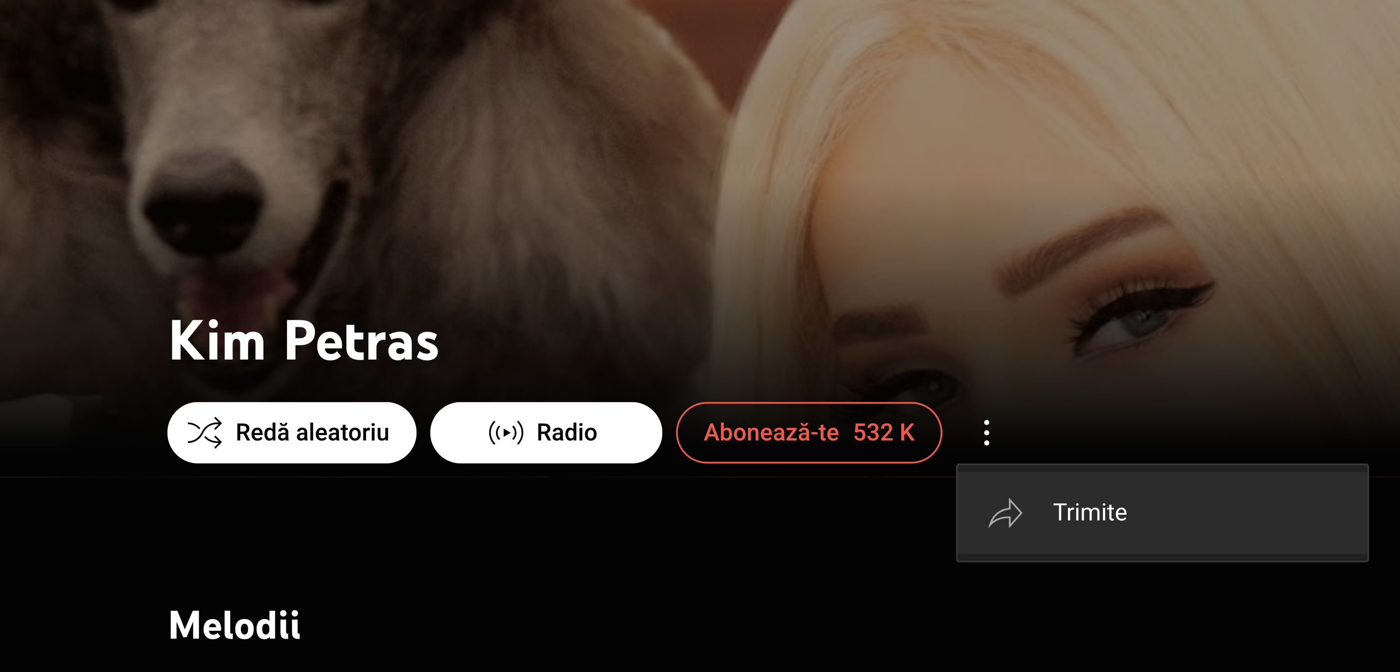 kim_petras.png