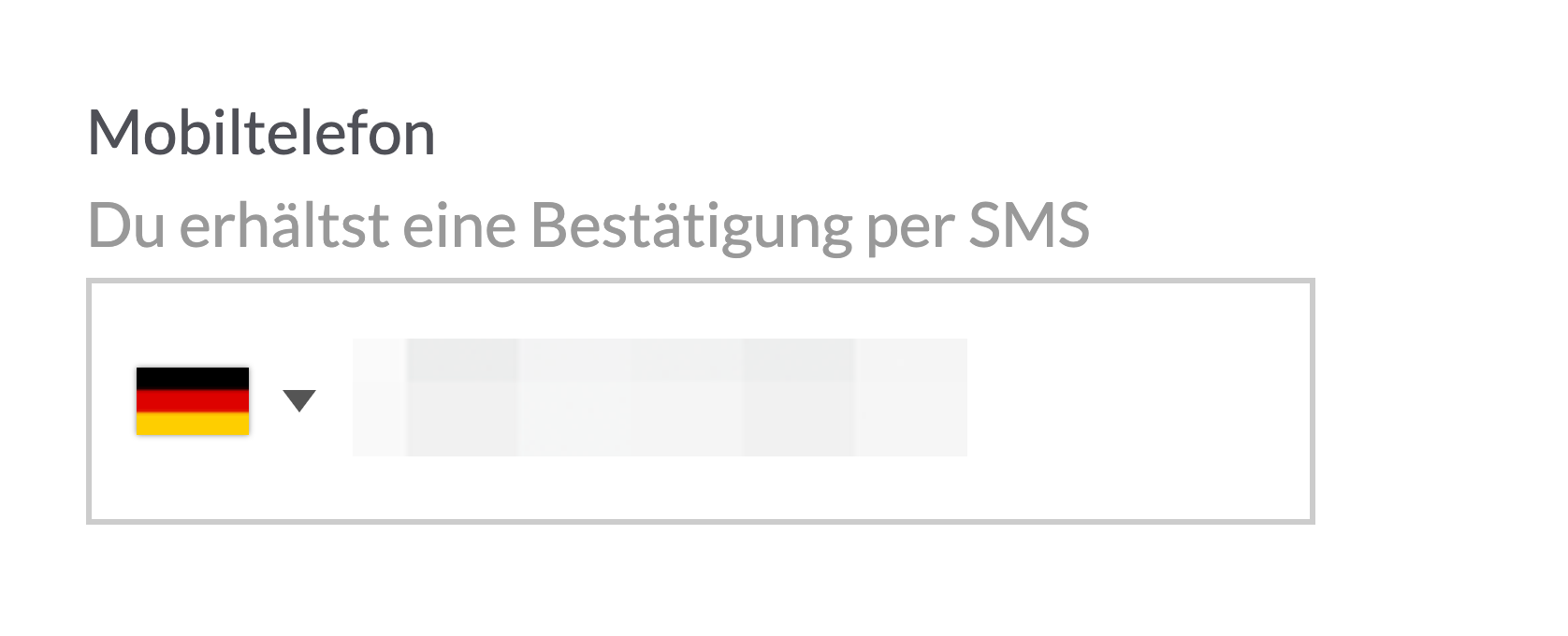 phoneverf2.png