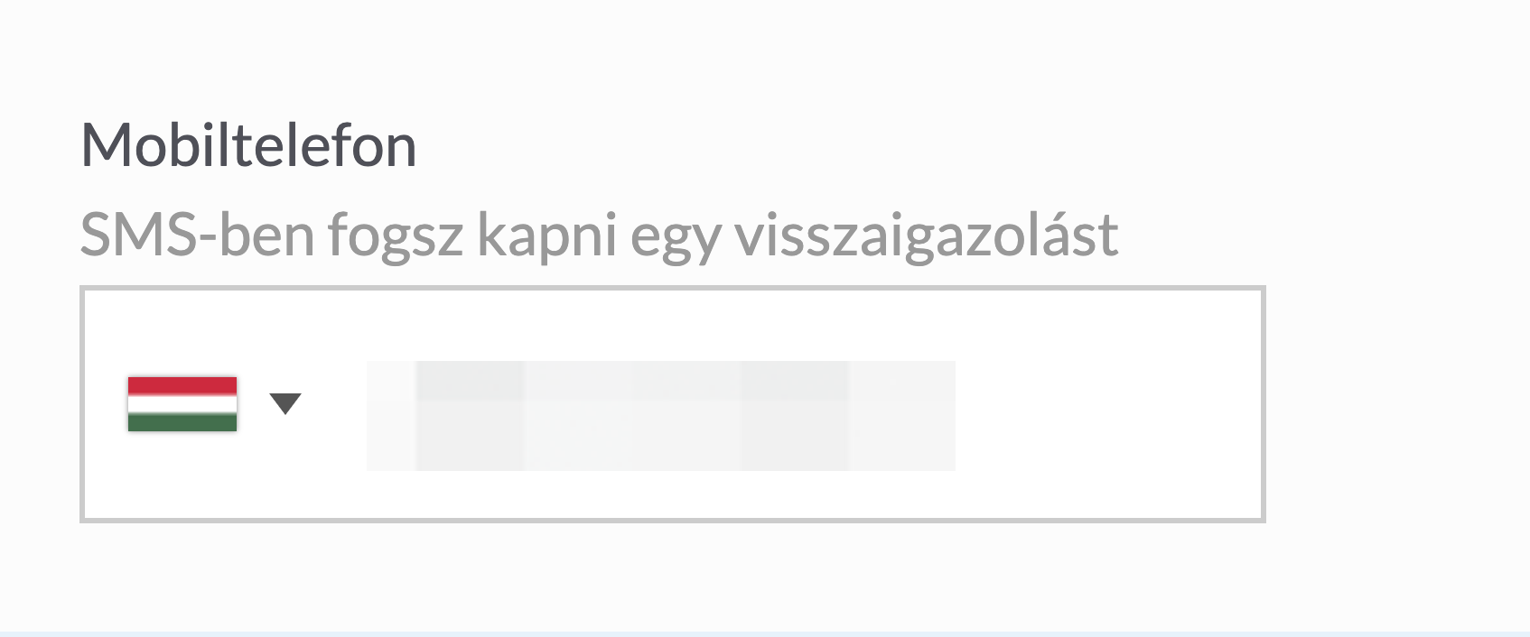 phoneverf2.png