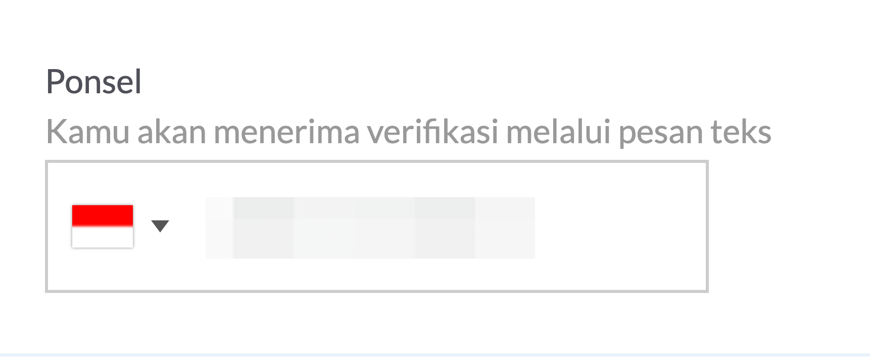 phoneverf2.png