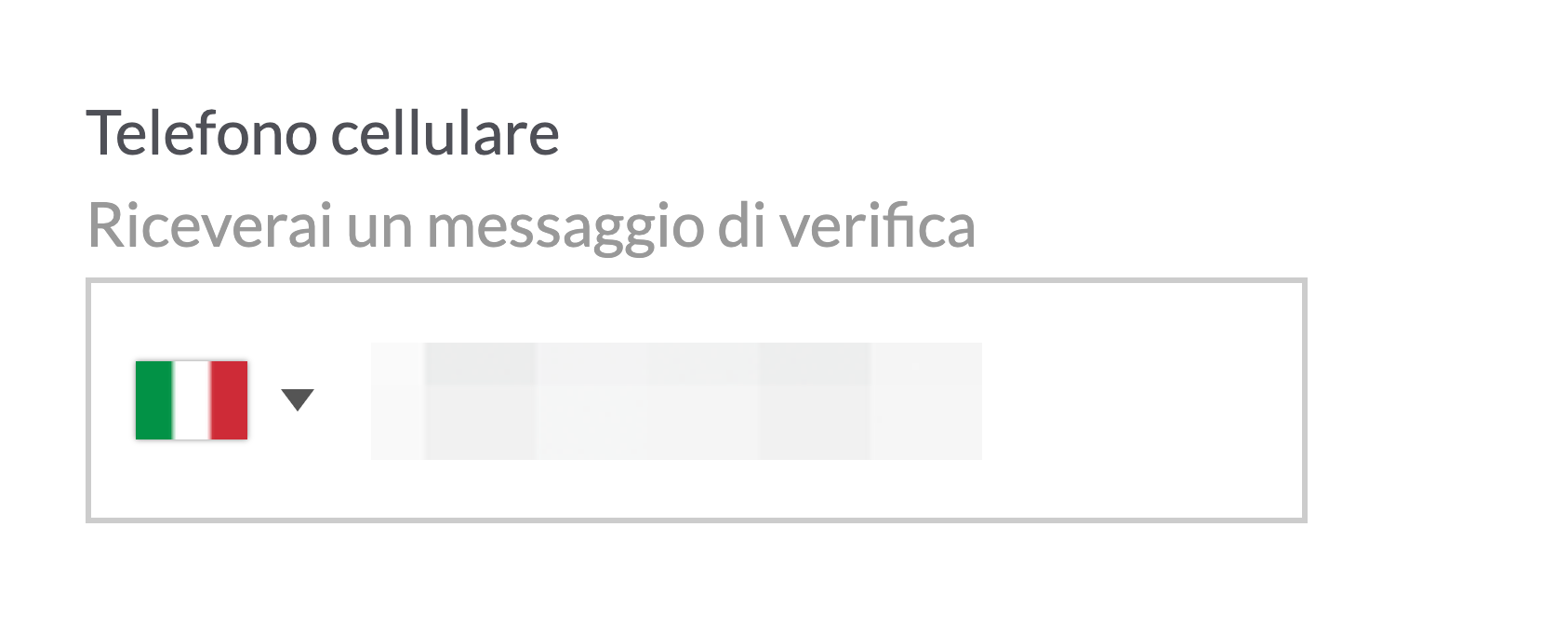 it_phoneverf2.png