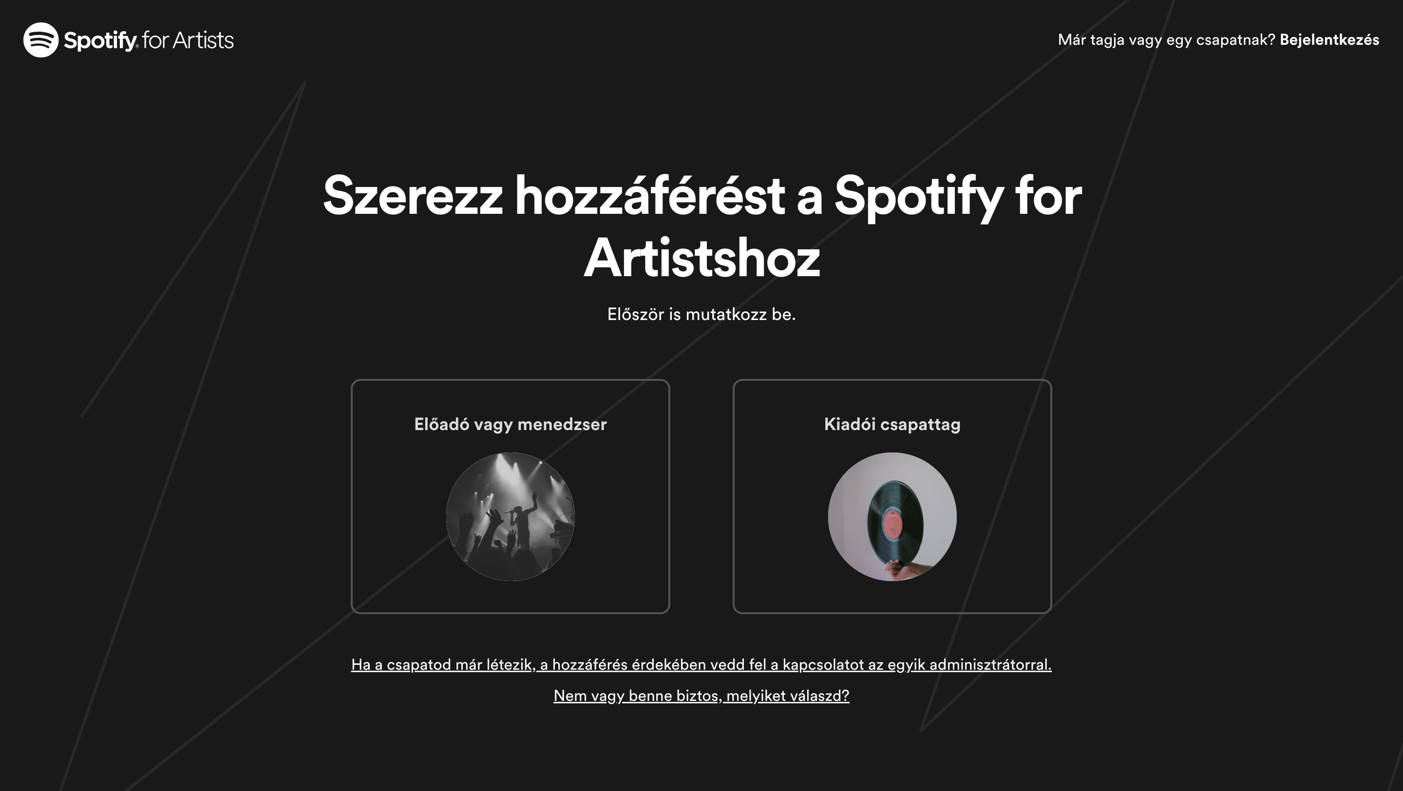 spotify_artists_access.png