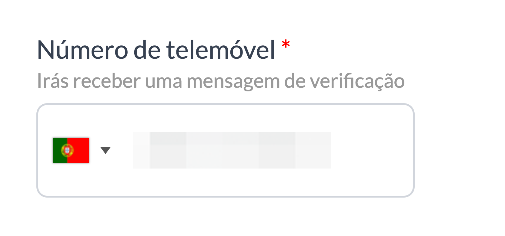 phoneverf2.png