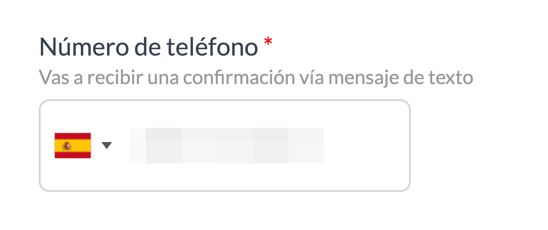 es-ES_phoneverf2.png