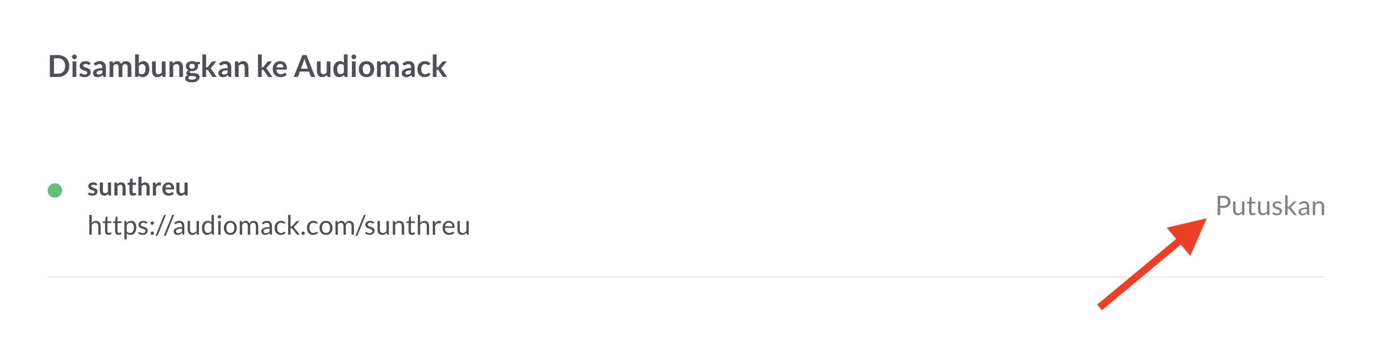 ms_audiomack3.png
