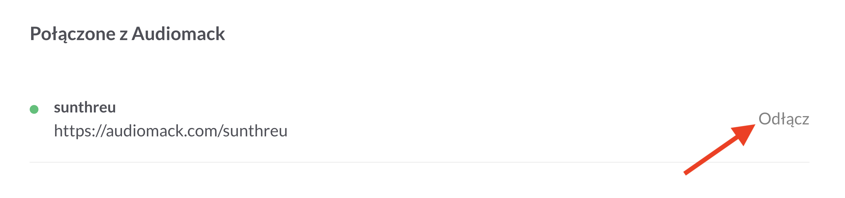 pl_audiomack3.png