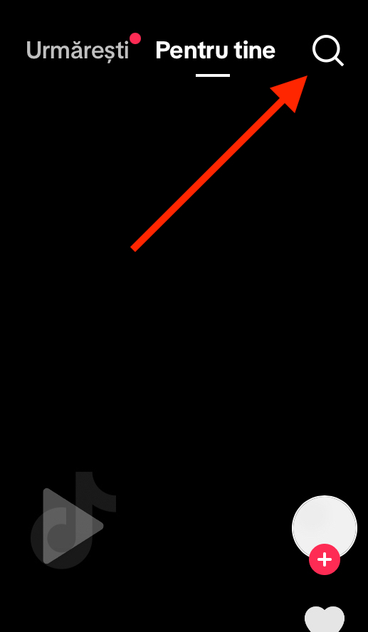 search feature.png