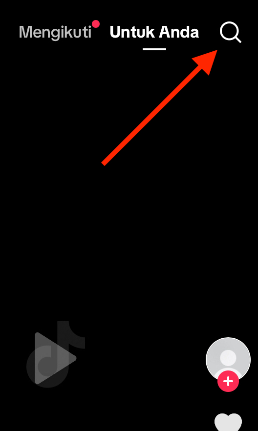 search feature.png