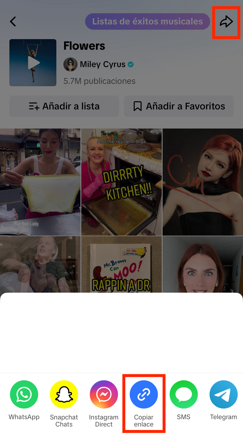 enlace para copiar sonidos.png