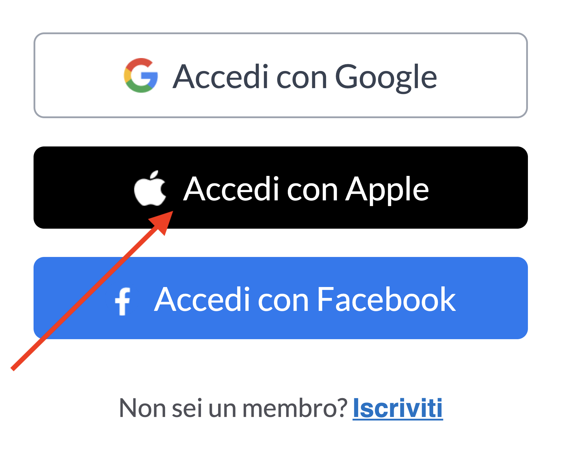 Carica e vendi la tua musica su Apple, Spotify, Amazon e YouTube Music | DistroKid 2024-04-16 11-35-11.png