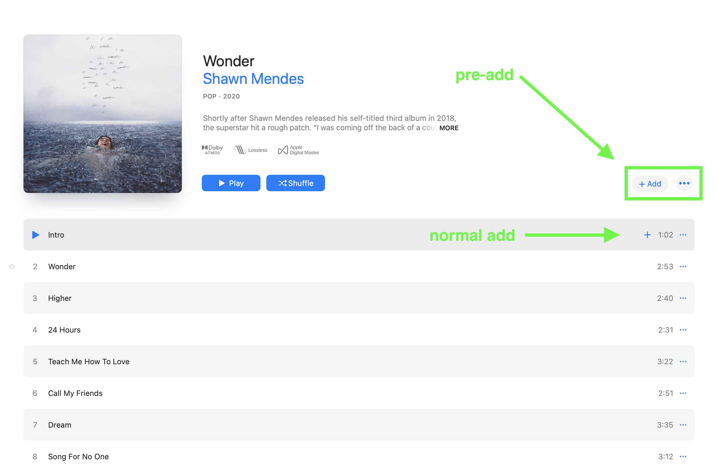 shawn_mendes.png