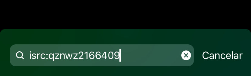 es_search_ISRC.jpeg