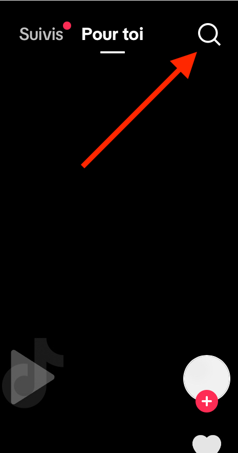 search feature.png