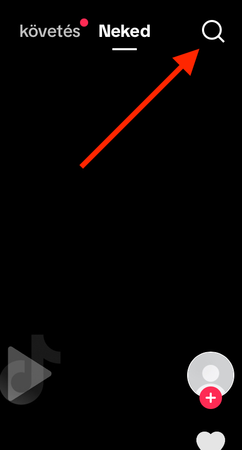 search feature.png