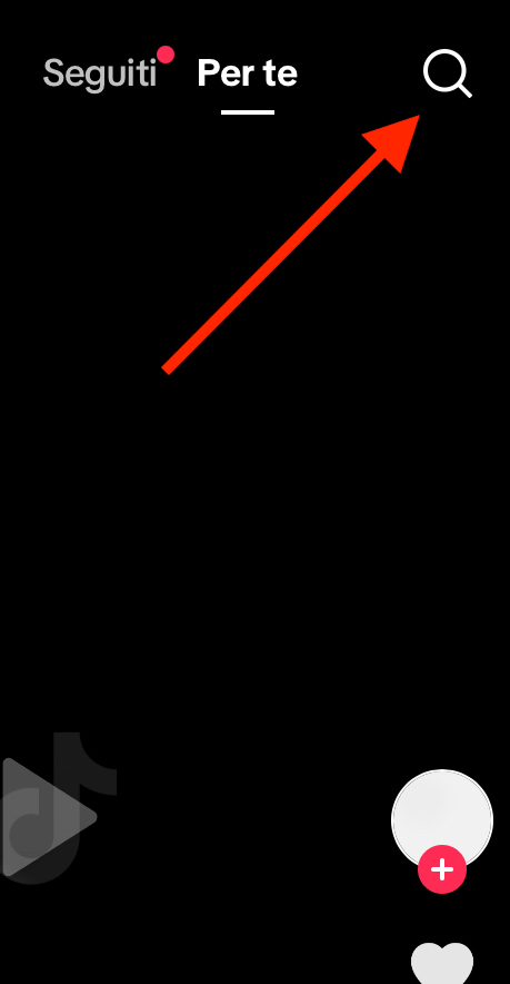 search feature.png
