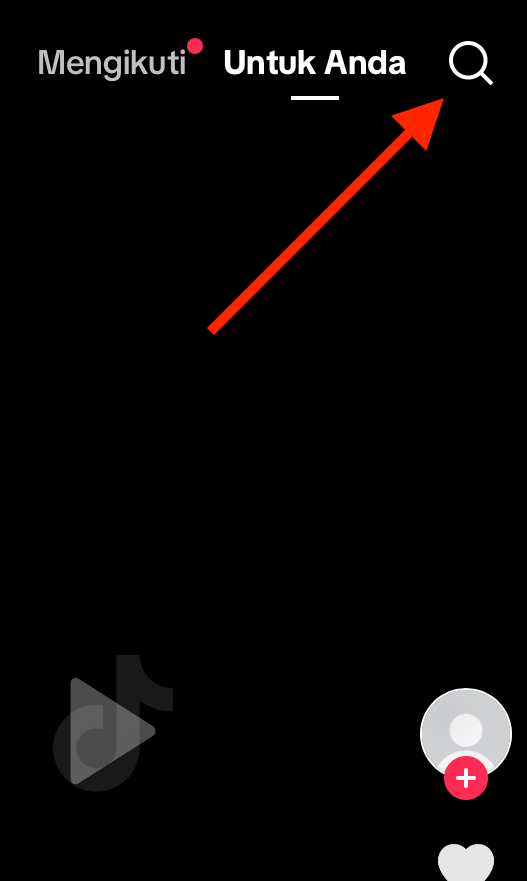 search feature.png