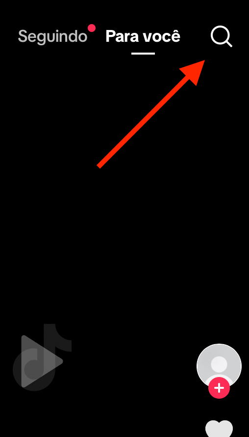 search feature.png