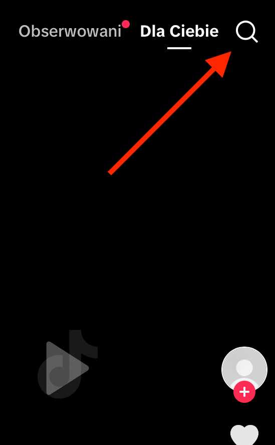 search feature.png
