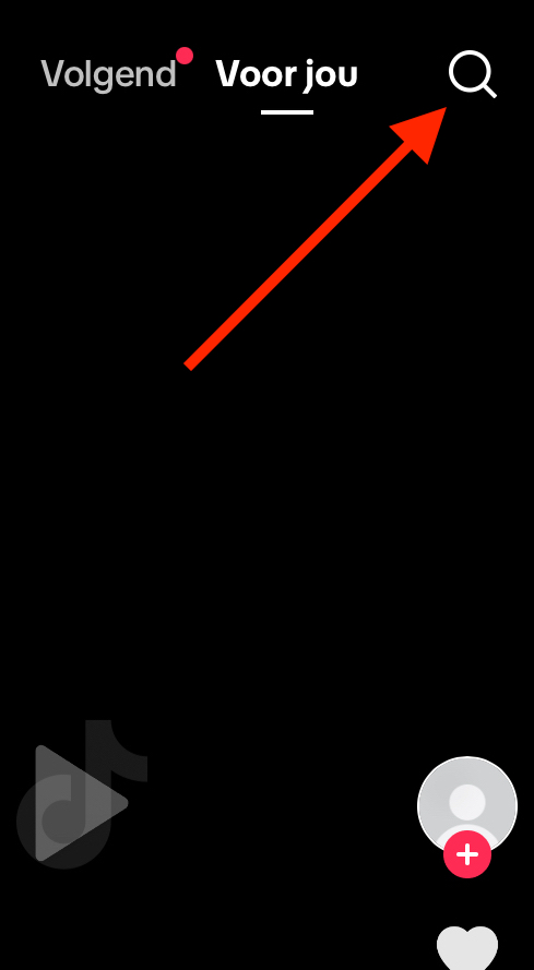 search feature.png