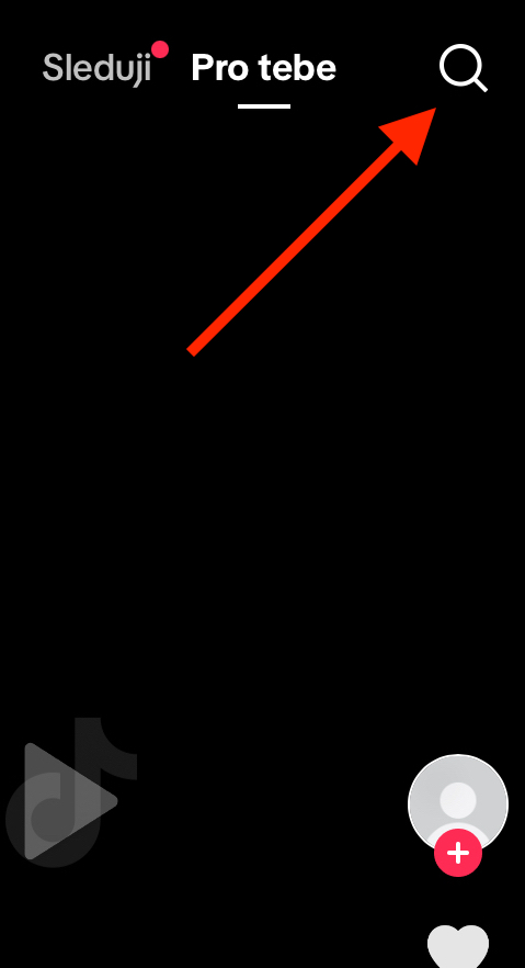 search feature.png