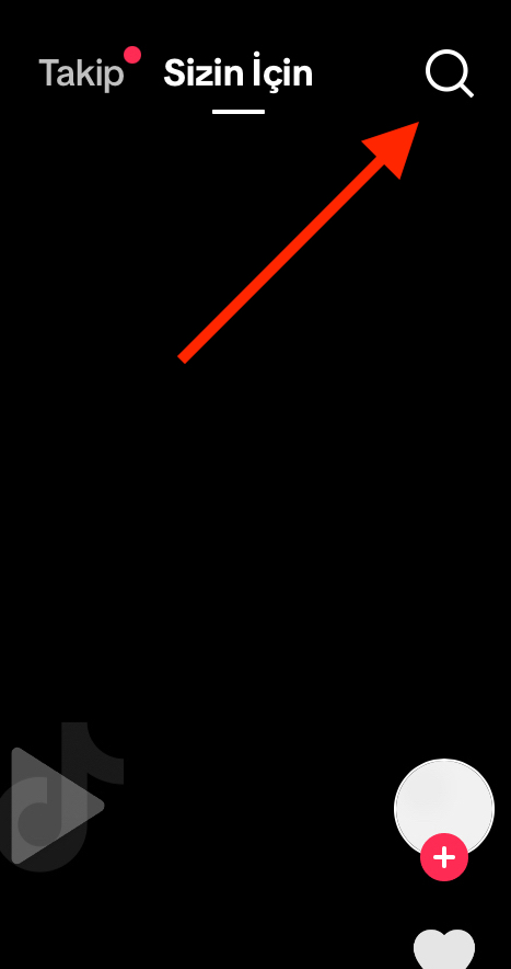 search feature.png