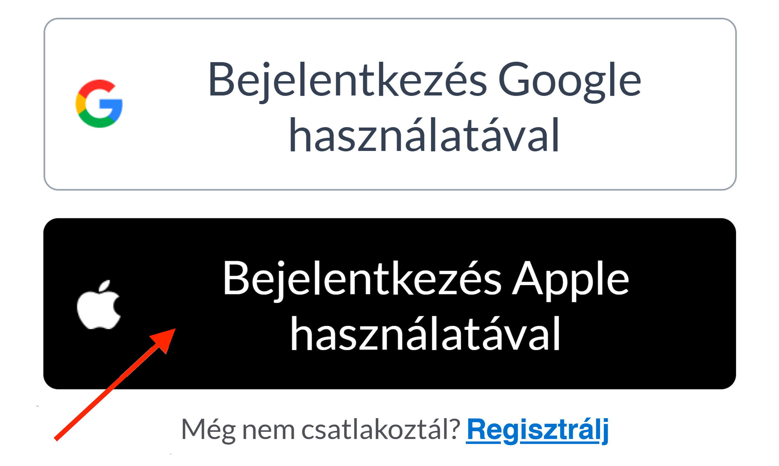 hu_apple_sign-in (1).png